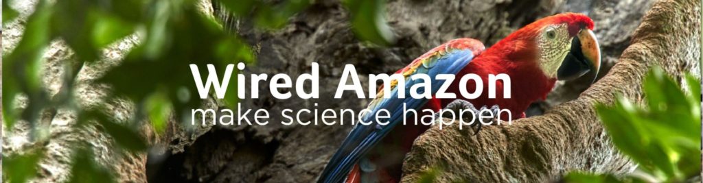 Wired Amazon by Rainforest Expeditions